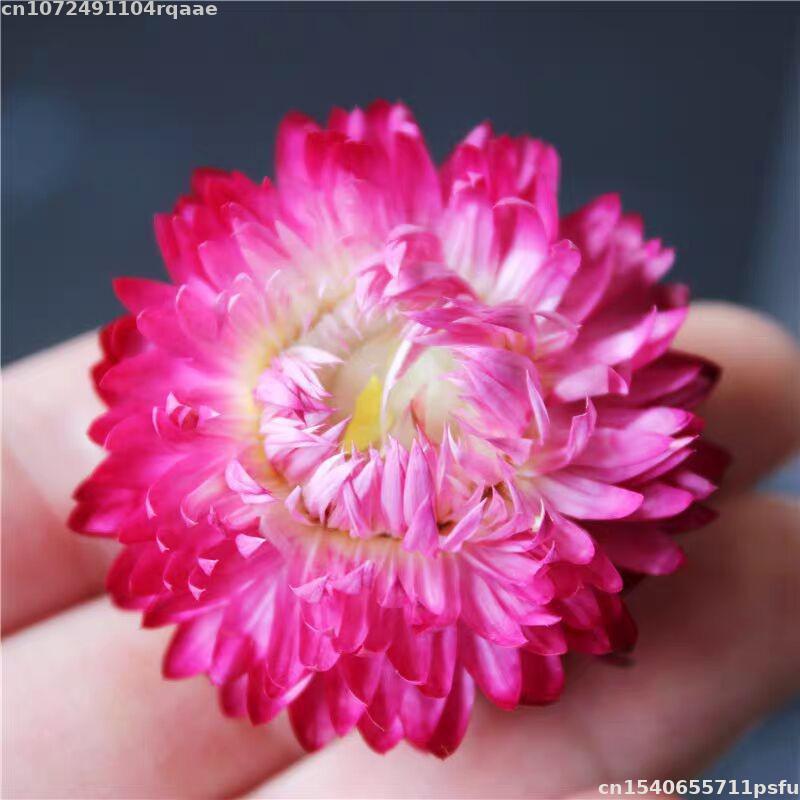 Flores Secas 100% Naturales Br - Soap Making Material Wholesale reseña y precio