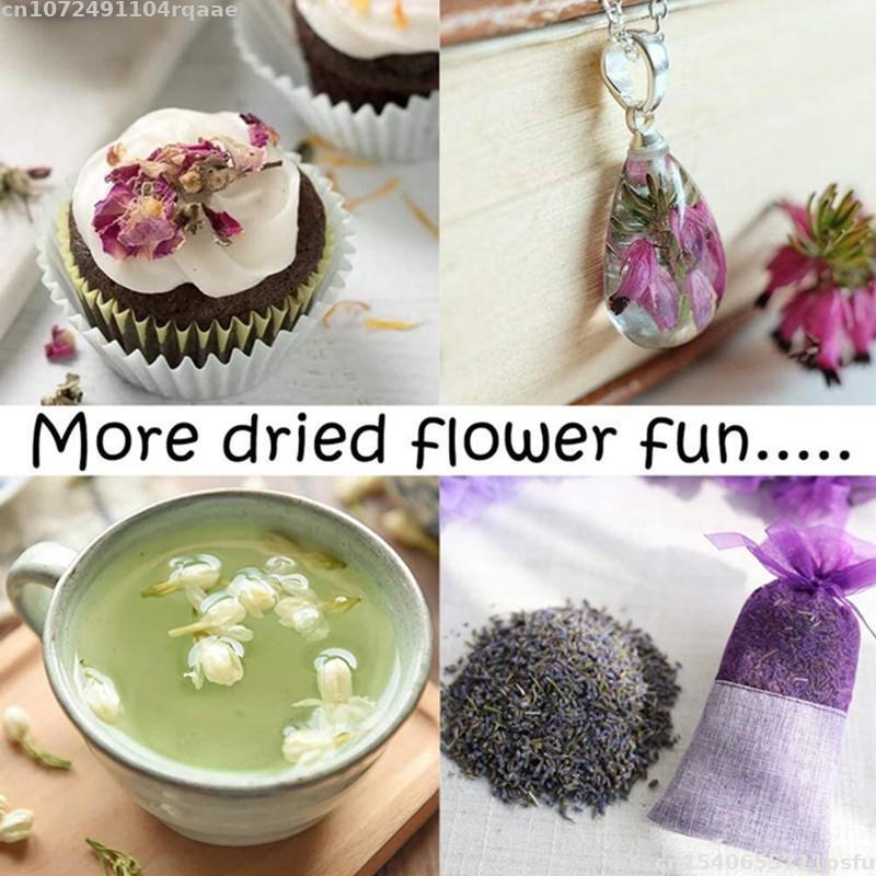 Flores Secas 100% Naturales Br - Soap Making Material Wholesale reseña y precio